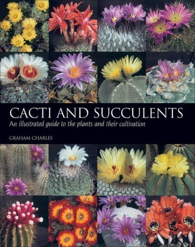 Cacti and Succulents: An Illustrated Guide to the Plants and Their Cultivation by Charles, Graham (2006) Paperback