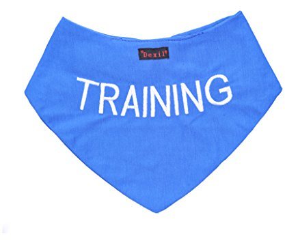 Dexil Hundehalstuch, personalisierbar, bestickt, modisches Accessoire, verhindert Unfälle, indem Sie andere vor Ihrem Hund im Voraus warnen