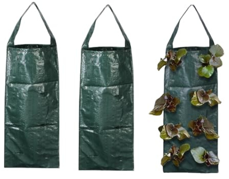 Naisfei Lot de 3 sacs de culture à suspendre pour fleurs, fraises, herbes, plantes, carottes, oignons, tomates, pommes de terre, roses