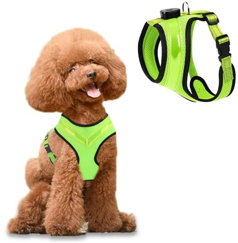 Fancysky Hundegeschirr Leuchtend Aufladbar Wiederaufladbarkeit, LED Leuchtgeschirr für Hunde, Atmungsaktive Hundegeschirre für Kleine und mittlere Hunde (M)