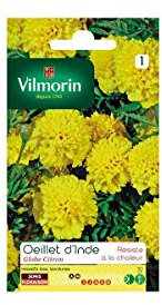 Vilmorin - Sachet graines Oeillet d'inde Globe Citron