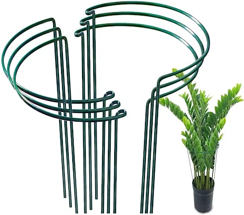 RZMZBY 6Pcs 25x40cm Pflanzenstütze, Metall-Garten-Pflanzenpfähle, Pflanzenstützstab,halbrund, Pflanzenstützring, Käfig für Pfingstrosen,Hortensien, Rosen, Sedum, Gemüse, Tomaten