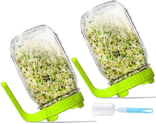 Axim Sprouts Growing Kit,Wide Mouth Mason Jars with Upgrade Screen Sprout Lids,1000ml /32oz Sprouting Jar Kit,Seed Sprouter Set for Growing Broccoli, Alfalfa, Mung Bean (Green)
