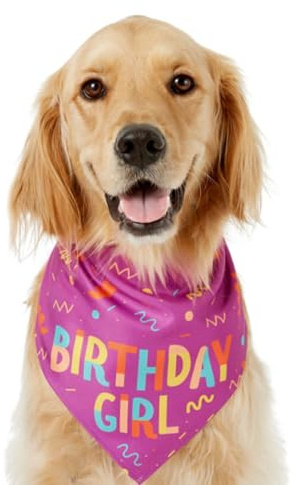 Qumiuu Foulard per cani – Foulard di compleanno per cani con giocattolo osseo | Morbido foulard triangolare per attività cuccioli in primavera accessori per cani con chiusura in