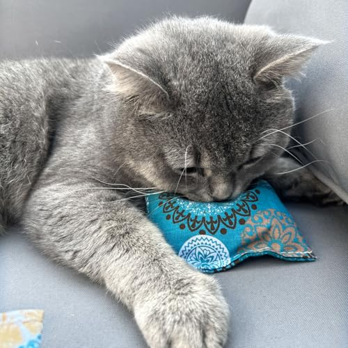 Aumüller Schmusekissen für Katzen mit Katzenminze, 4er Set - Katzenspielkissen Minzini, Kissen aus Schmuseplüsch, Made in Germany