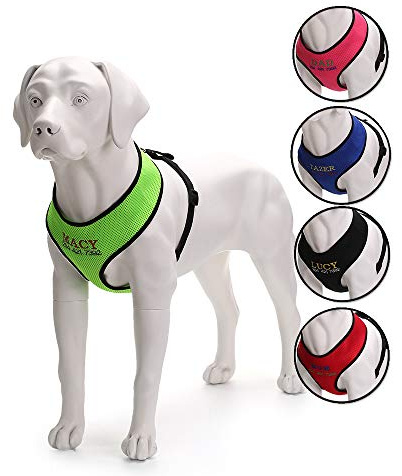 Langlebiges Hundegeschirr mit Namen, besticktem Namen, Telefonnummer, Haustiergeschirr, personalisierbar, weiches Netzgewebe, gepolstertes Halsband für Hunde