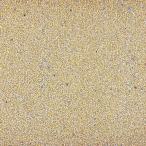 Gelbsenf Gründüngung 2kg frische Saat für ca. 400 m² Bienenfreundlicher 2000g Beliebter GRÜNDÜNGER SAMEN im Winter Zwischenfrucht Gründung im Herbst