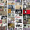 carte da parati PURO - Carta da parati PURO 10 m senza ripetere il motivo Fotomurali in TNT Murale Decorazione da Muro XXL Poster Gigante Design Carta per pareti Banksy f-A-0237-j-b
