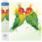 DIAMOND DOTZ DD5.075 - Original 5D Diamond Painting Set Liebende Vögel, Kreativset mit 3.280 Diamant Mosaiksteinen, Malset ca. 32 x 32 cm, DIY Komplettset für Erwachsene und Kinder ab 8 Jahren