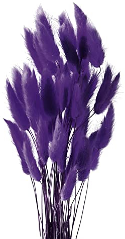 Diyxisk Pampas Grass Bouquet,50 Pcs Natural Phragmites Dried Flowers,Bunny Tail Grass Boho Decor,Suitable for Vase Wedding Dining Table Room Home Decor Accessories Living Room（Deep Purple）