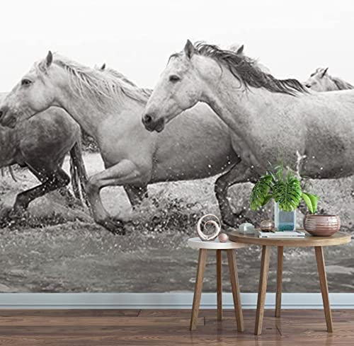 3D Noir Et Blanc Cheval Troupeau Animal Gris Papiers Peints Grands Autocollants, Papiers Peints Amovibles | Papier Peint Autocollant 3D Pour Chambre D'Enfant, Salle 400 (largeur) x 280 (hauteur) cm