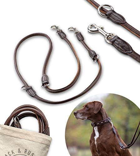 Premium Leder Hundeleine Dora 2,0m - Hunde Leder Leine mit Karabiner - verstellbar Dora (Braun)
