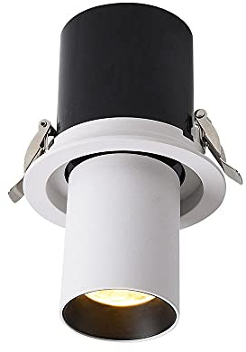 Spot LED Encastré, Éclairage De Spot D'accentuation De Plafond 20W, Luminaire De Spot Pivotant Au Plafond Réglable De Haut en Bas, Spots Directionnels D'intérieur pour Couloir De Galerie