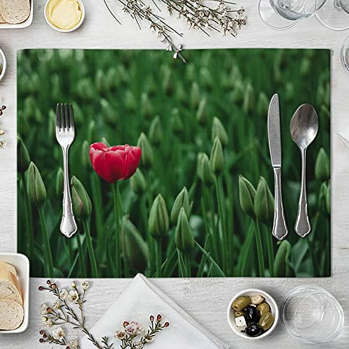 Gualiy Tovaglietta Sottopiatto Quadrata Set da 4, Tovaglietta Cucina Antiscivolo 42x32cm Bud Fiore Tovagliette per la Colazione