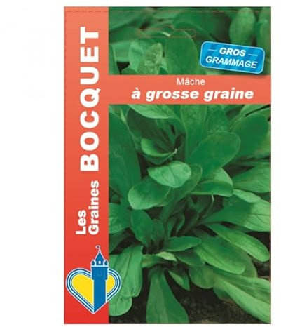 Sachet de graines de Mâche à grosse graine gros grammage - 15 g - légume feuille - LES GRAINES BOCQUET