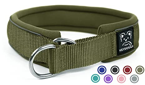 Weich Neopren Gepolstert Hundehalsband (4cm Breite) Reflektierend Hund Halsband mit Robust Nylon & Zugstopp, Bequem Zughalsband Dressurhalsband für Kleine Mittlere Große Hunde Walken Armee Grün S
