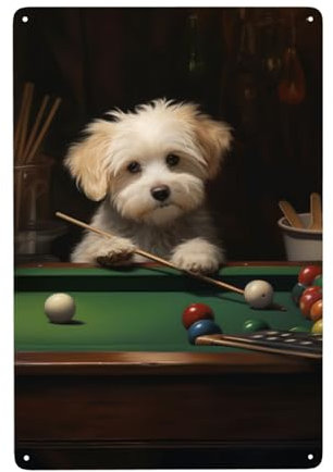 Entzückendes Metall-Blechschild für Billard-Arena, Spielzimmer, Bar, Männerhöhle, niedliche Heimdekoration, Wandkunst, Retro, antikes Weißblech und Aluminiumschilder für drinnen und draußen,