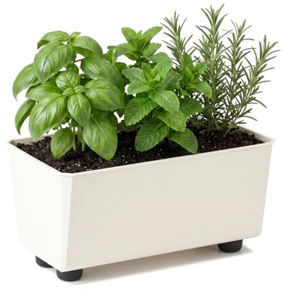 LAMELA Rechteckiger Pflanzkasten mit eleganten Füßen – Cremefarbener Blumenkübel aus robustem Kunststoff 28,5 x 17 cm, 4,2L – Wetterfest & Pflegeleicht - für Innen & Außen, Cremig | Robust und wetterfest, erhöhte Bauweise mit guter Belüftung - für innen und außen, schützt vor Nässe