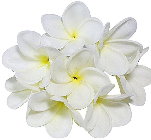 Winterworm, fiori di Plumeria artificiali in lattice dall’aspetto realistico, 10 steli, color avorio, bouquet di fiori in lattice da sposa, per feste nuziali, festival, decorazioni, bouquet bianco