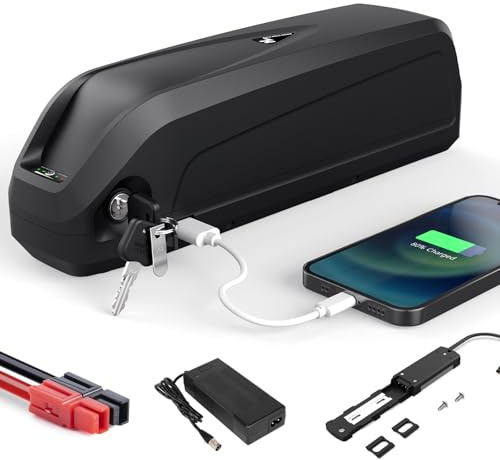 48V Hailong Ebike Batterie 13Ah Down Tube Batterie de vélo électrique, Fit pour 250W 300W 350W 500W 700W 1000W Kit de Conversion avec Chargeur