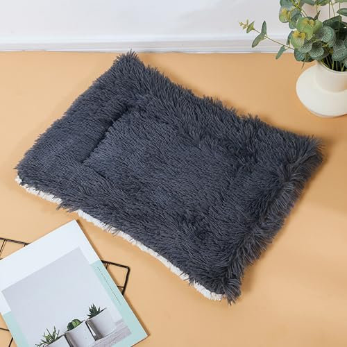 DUOLEH Weiche Hundedecken, Katzendecke für Bett, Couch, Schutz, beruhigende Haustierdecke für kleine, mittelgroße Hunde und Katzen, Katzen, Hundematte, Katzenkätzchenbett, vielseitiger Hundeüberwurf