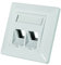 Logilink Professional Keystone NK4020 Flush-Mounted Box for 2 Keystone Sockets/Modules with 45° Outlet
