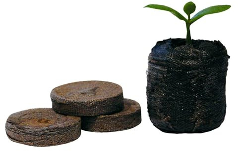 Jiffy 7 Peat Plugs Hydroponics Propagation Pellets 38mm - Quantity's up to 1000 (1000)