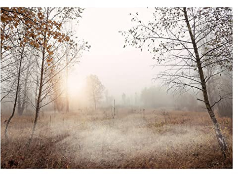 Papel Pintado Arboles Niebla Bosque Paisaje Naturaleza Pradera - Incluye Pegamento - Fotomurales Pared Tejido No Tejido Decorativos Murales Fotográfico XXL Moderno Decoración de Paredes (312x219 cm)