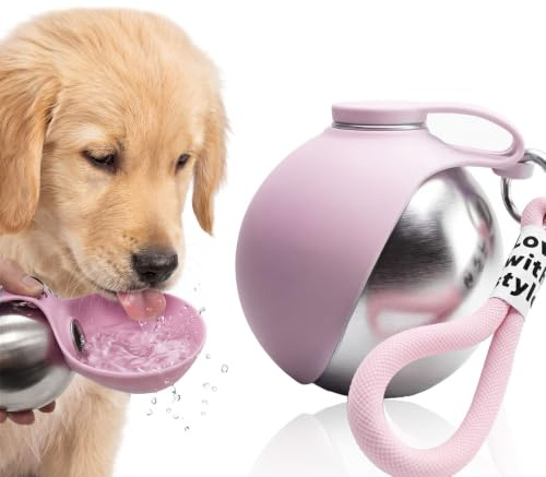 Xuwajeyu Bouteille d'eau pour Chien en déplacement, 285 ML en Acier Inoxydable avec Bol en Silicone Pliable, étanche et Compact pour promenades, randonnées et Voyages