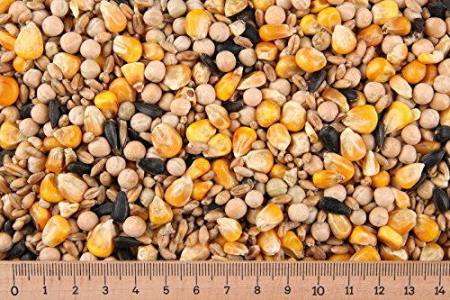 (Grundpreis 1,07 Euro/kg) - 25 kg Taubenfutter Körnermischung Tauben Vogelfutter