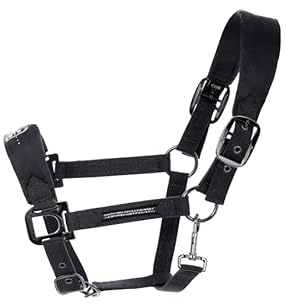 Cavallo HALLONA Halfter Black Horsefashion 2022, Größe:WB