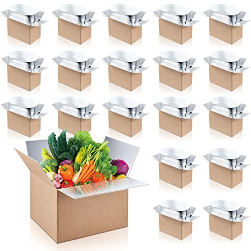 Nuanchu 20 Pieces Insulated Shipping Boxes Double Insulated with Aluminum Foil Liner Thermal Insulation Cold Reusable Mailing Box for Cold Food, Shipping, Mailing, Packing