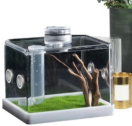Spinnen-Futterbox, Reptilien-Terrarien, Futterspinnenkäfig, Gehegezubehör, Reptilien und Amphibienzubehör für Amphibien, kleine Reptilien