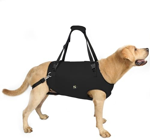 Coodeo Hundetragegurt: Unterstützungs & Rehabilitations-Schlinge, verstellbar gepolstert atmungsaktiv, für ältere, behinderte Hunde mit Gelenkproblemen oder Stabilitätsverlust (Schwarz, 2XL)