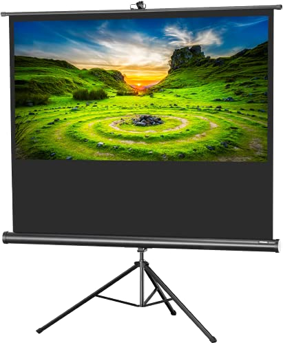 celexon portable projector Screen with pre-mounted stand mobile tripod canvas with carrying handle Economy - 219x123 cm - 16:9 - Gain 1.0 - black