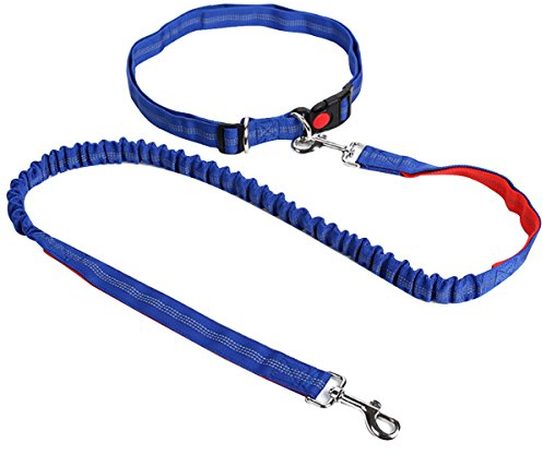 AiSi Hundeleine mit Bauchgurt, Joggingleine, Verstellbare Freihandleine mit Laufgürtel, Jogging Hundeleine für kleine und große Hunde, Leine für Joggen Laufen Wandern Blau
