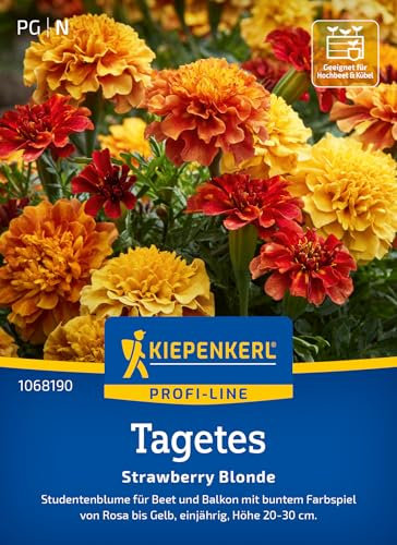 Kiepenkerl Profi-Line Tagetessamen Strawberry Gold 1068190 - Studentenblume für Beet und Balkon mit buntem farbspiel - Pflanzen, Blumensamen, Saatgut