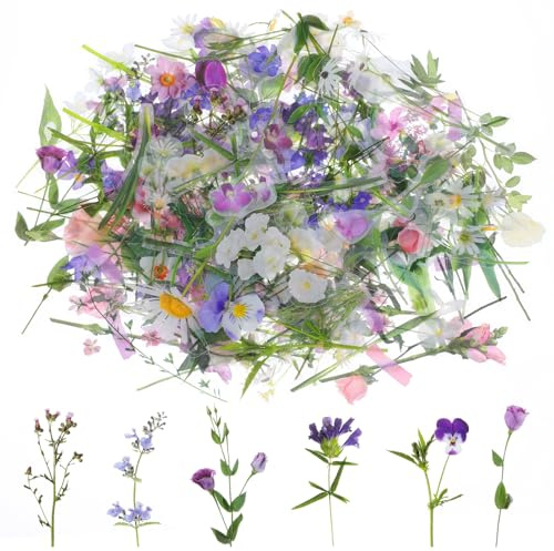 120 Stück Scrapbooking Sticker, Wasserfeste Blumen Transparente PET Aufkleber, Aesthetic Stickers Vintage für DIY Fahrrad, Fotoalbum, Journal, Scrapbook