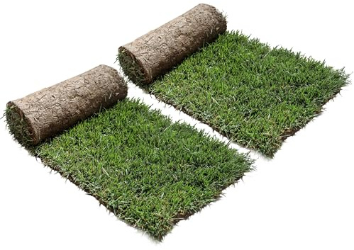 Ricarica XL PetZolla Cane - Traversina per cani in vero prato 100x90 cm | Ricambio facile da sostituire per il Kit Cane XL, Lettiera per cani grandi dura oltre le 4 settimane - Made in Italy