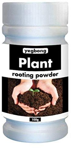 Snabb Rotpulver, CaCaCook Snabb Växtrotpulver, Snabb Växttransplantationsgödsel För Att Förbättra Överlevnaden Av Blomklippning (50g)