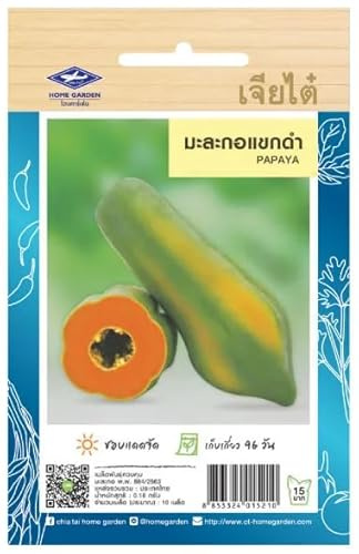 Graines de Papaye Thaïlandaise – Salade Thaï Som Tam – 10 graines – CHIA TAI (Home Garden) – Import Thaïlande