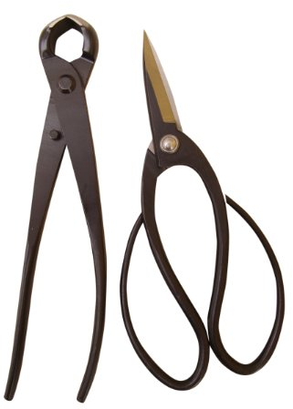 Genki-Bonsai Bonsaiwerkzeugset mit 2 Profi Werkzeugen in schwarz (Bonsaischere breit, Knospenzange 210 mm)