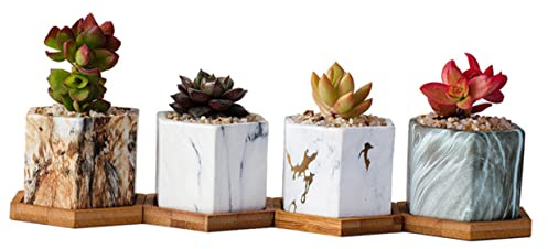 TOYANDONA 4 Vasi in Per Piante Marmorizzato Adatti Per e Esterni Vasi Decorativi Per Cactus e Violetta Africana Drenaggio Per