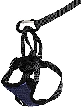 PetSafe Happy Ride Dog Safety Harness for Cars - Dog Car Harness Includes Seat Belt Tether - Keeps Pets Restrained - Breathable Mesh, Adjustable Straps - Dog Travel Accessories for Car - Small