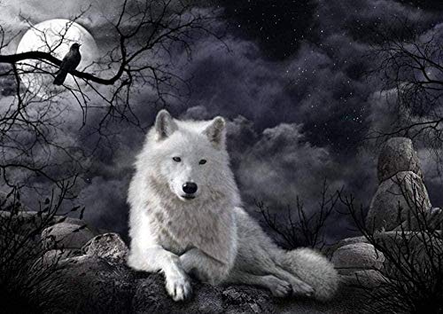 KKKKX Stickset Stickbilder Kreuzstich Vorgedruckt Weißer Wolf auf dem Stein 40x50cm DIY Kunst Kreuzstich Kit Stickerei, geeignet für Anfänger für die Heimdekoration (14CT vorgedruckte Leinwand