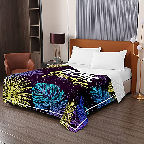 Odot Moderna Colcha de Verano Colcha Bouti Colcha Acolchada para Cama Suave y Cómoda - Edredón Fresca Lavable para Primavera y Entretiempo Individual Matrimonio Infantil (Pintada,100x150cm)