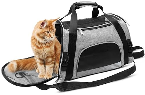 Casas Transportväska för katter och hundbur, vikbar kattväska och vikbar hundtransportlåda, katttransportlåda och kattkorg, smart bärväska