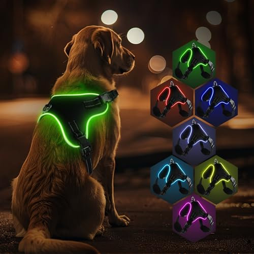 RUXAN Leuchtend Hundegeschirr, LED Hundeweste Geschirr wiederaufladbar, 7 Farben Hundelicht Geschirr für Nachtspaziergang Weiches Verstellbares Hundegeschirr für Kleine, Mittlere Große Hunde