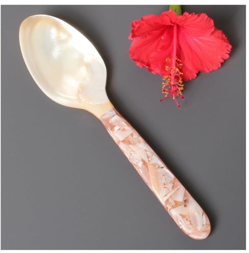 Hrlace Cuchara de nácar de 16 cm, cuchara de caviar, cuchara de huevo, hecha a mano, nácar, producto natural, concha de agua dulce, nácar, caviar, cuchara natural para caviar, huevo, hielo, café,
