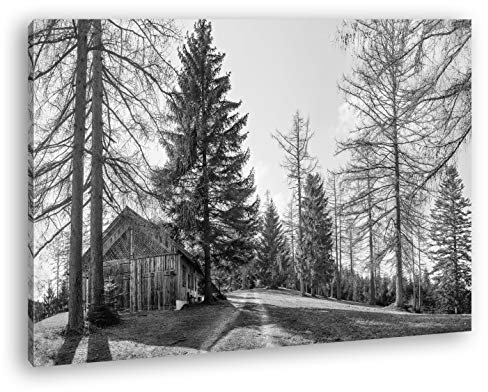 deyoli Vecchia capanna in Legno Effetto Foresta: Bianco e Nero su Tela, Motivo già incorniciato su Telaio in Vero Legno, Stampa Digitale di Alta qualità con Telaio, nessun Poster o Poster, 80x60